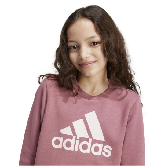 Adidas Παιδικό φούτερ Essentials Big Logo Cotton Sweatshirt